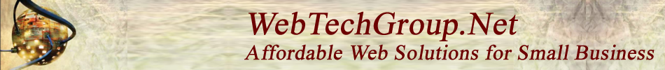 WebTech Logo